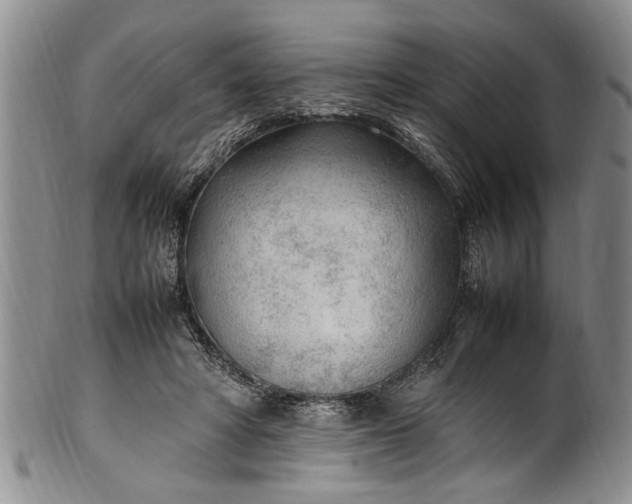 X0000102250402200808081415