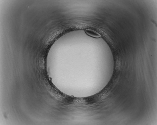 X0000102250403200808081415