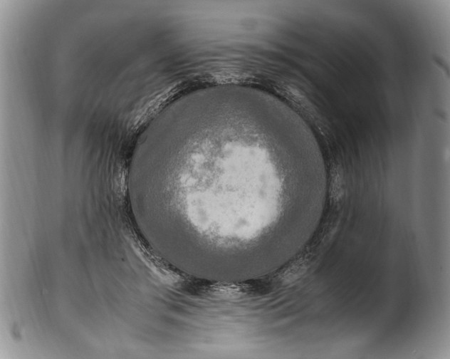 X0000102250405200808081415