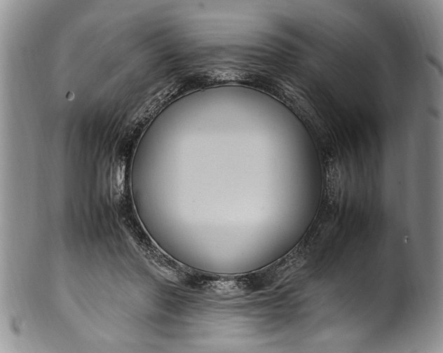 X0000102250406200808081415