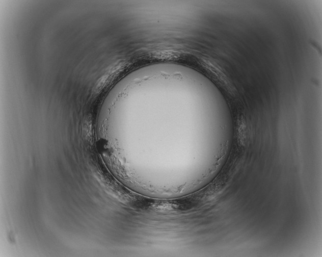 X0000102250407200808081415