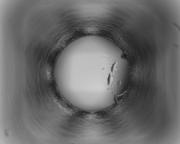 X0000102250408200808081415