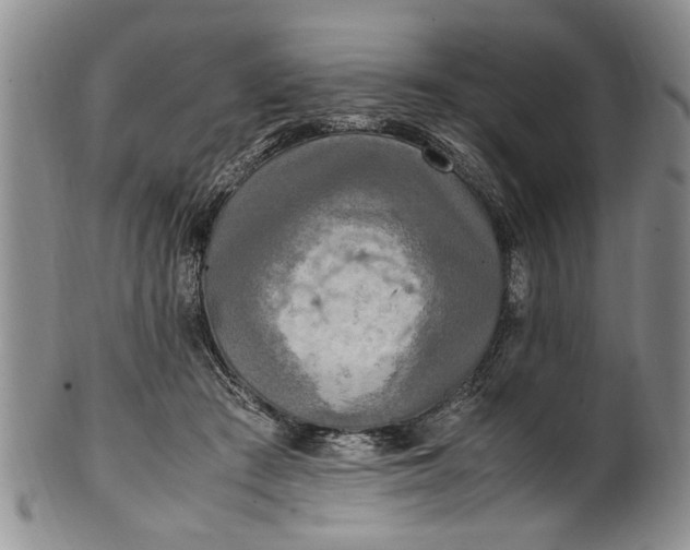 X0000102250409200808081415