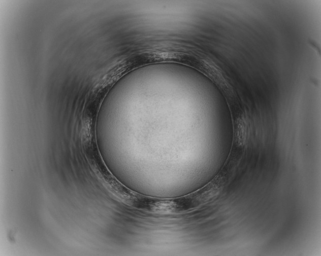 X0000102250410200808081415