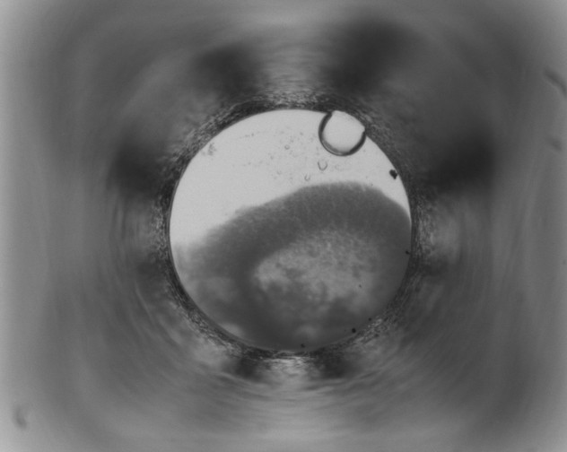 X0000102250411200808081415