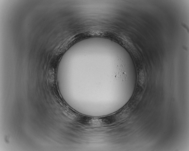 X0000102250413200808081415