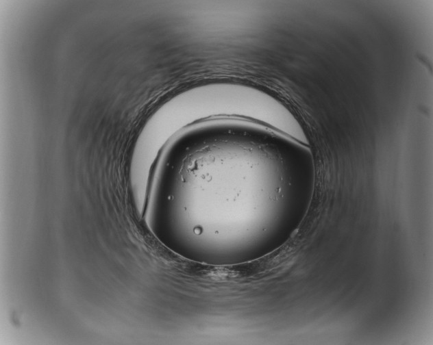 X0000102250415200808081415