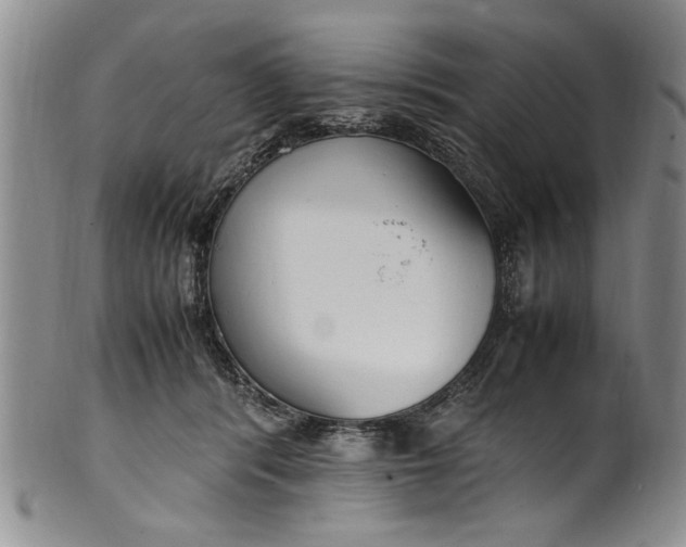 X0000102250416200808081415