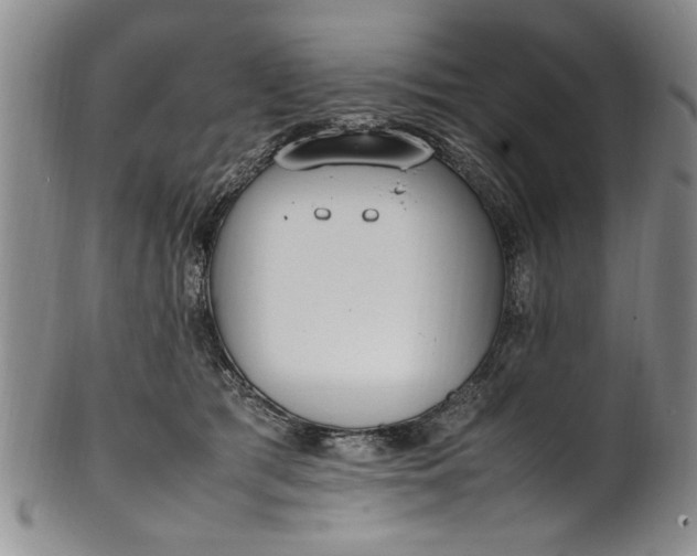 X0000102250417200808081415