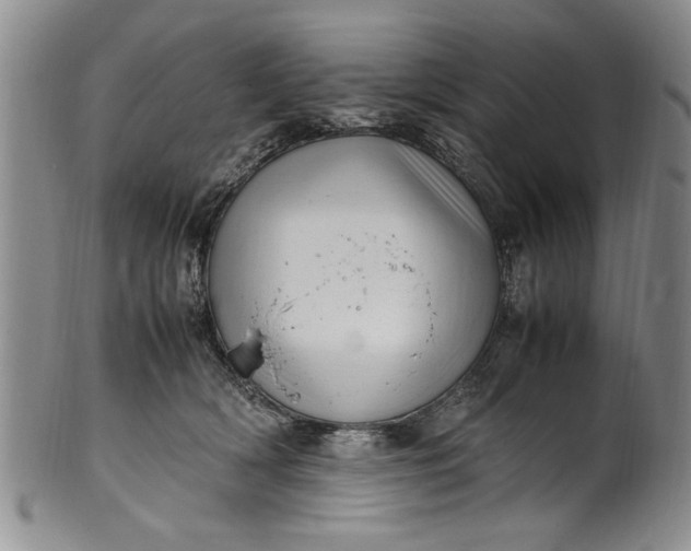 X0000102250418200808081415