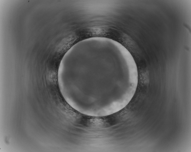 X0000102250419200808081415