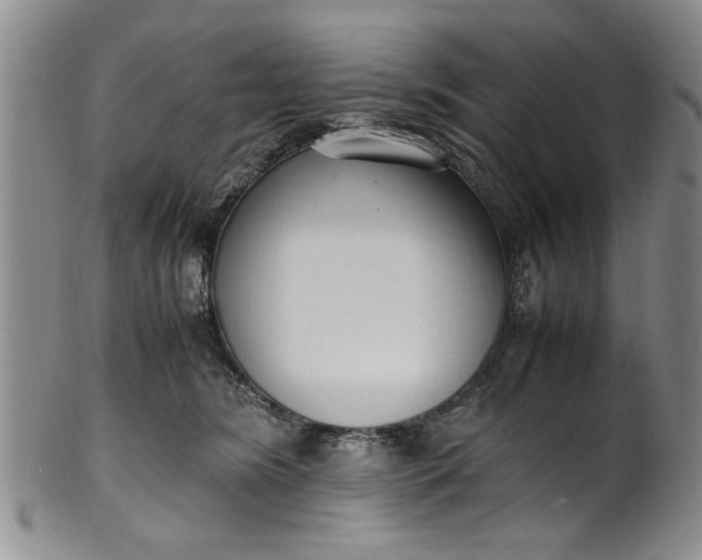 X0000102250420200808081415