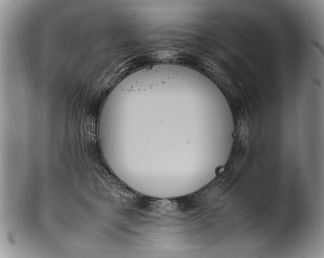 X0000102250421200808081415