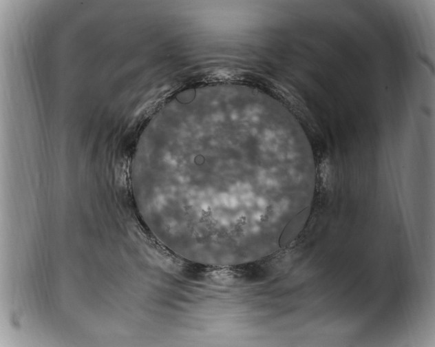 X0000102250423200808081415