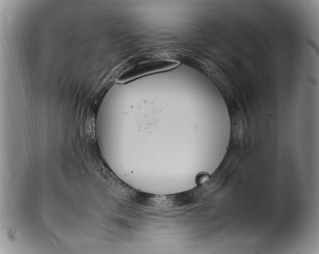 X0000102250425200808081415