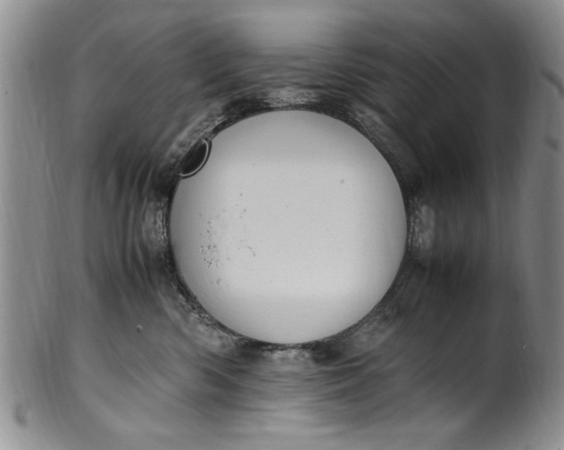 X0000102250426200808081415