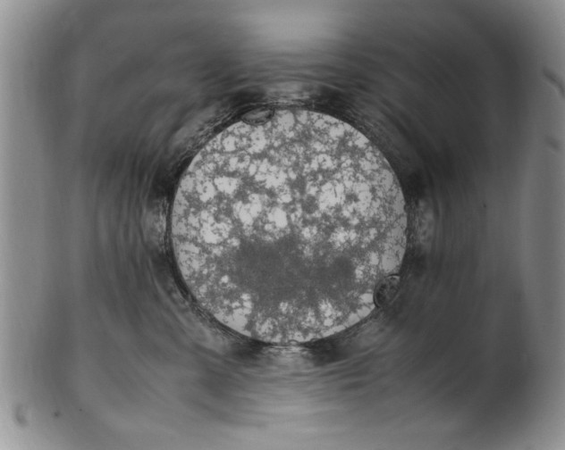 X0000102250427200808081415