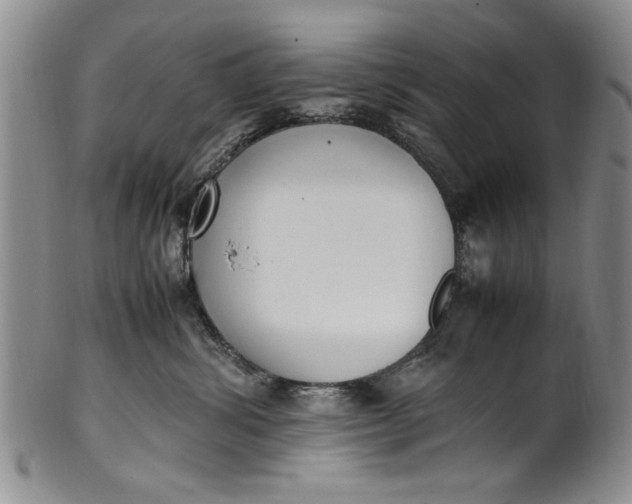 X0000102250428200808081415