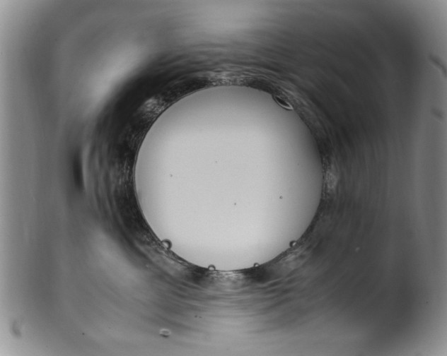 X0000102250429200808081415