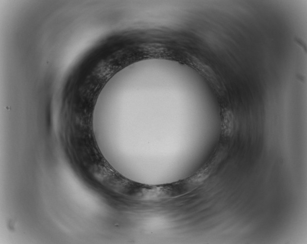 X0000102250430200808081415