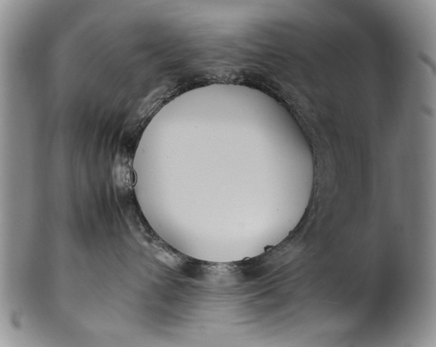 X0000102250432200808081415