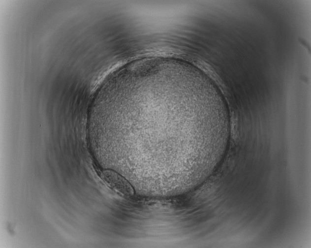 X0000102250434200808081414