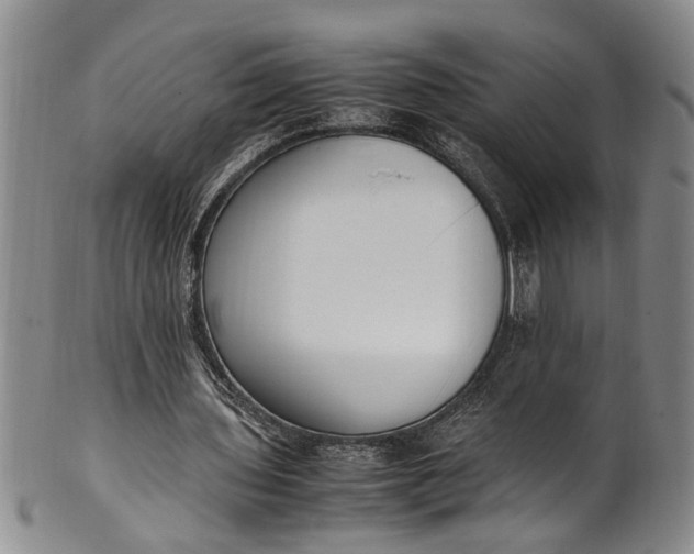 X0000102250435200808081414