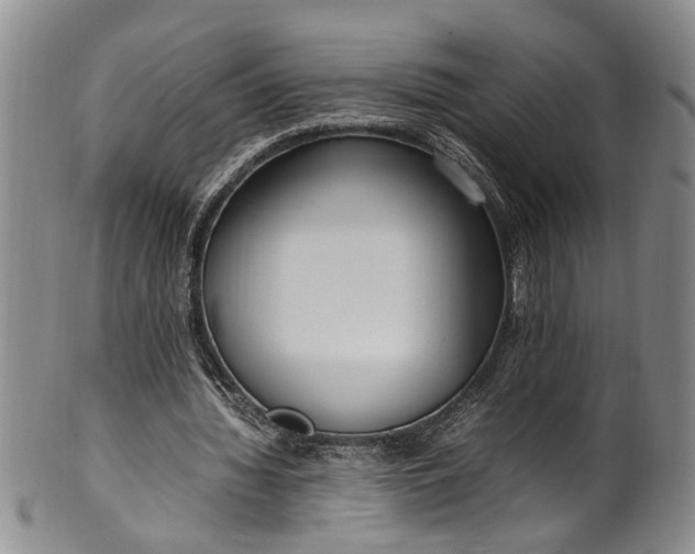 X0000102250436200808081414