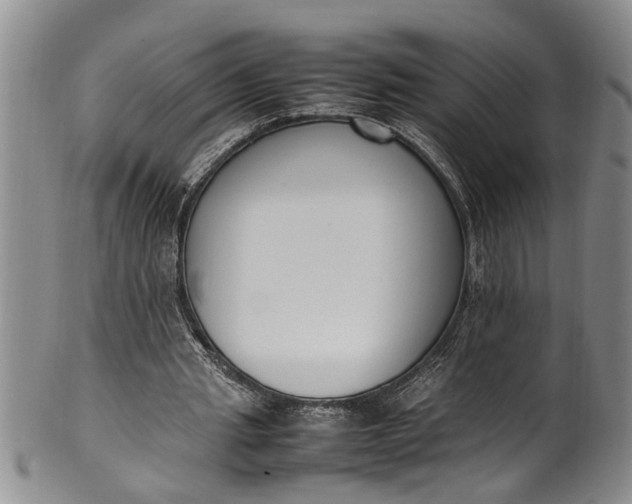 X0000102250437200808081414