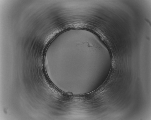 X0000102250438200808081414