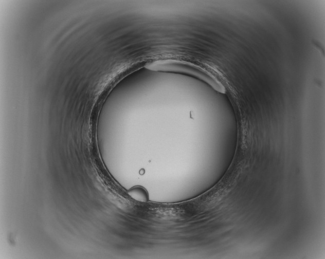 X0000102250439200808081414