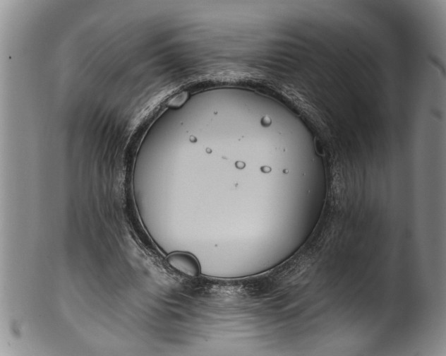 X0000102250440200808081414