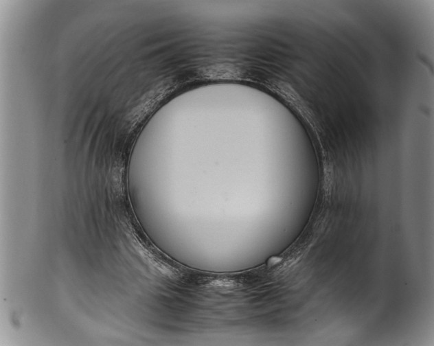 X0000102250441200808081414