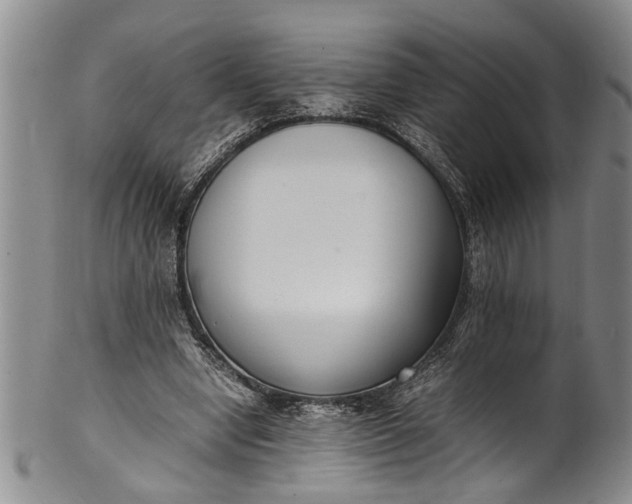 X0000102250442200808081414