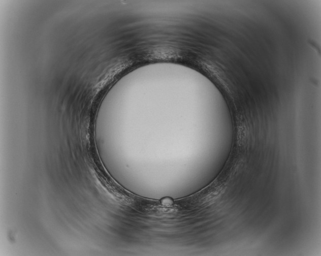 X0000102250443200808081414