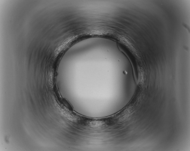 X0000102250444200808081414