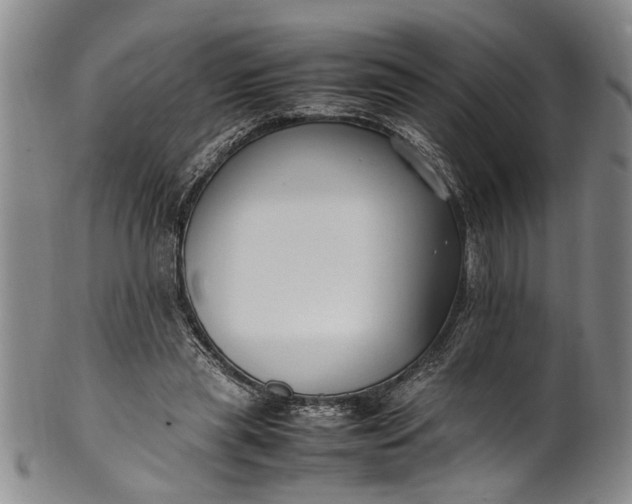 X0000102250445200808081414