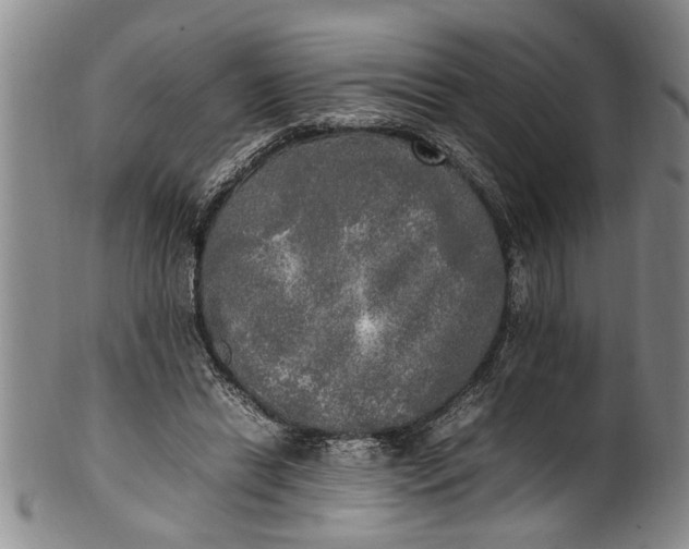 X0000102250446200808081414