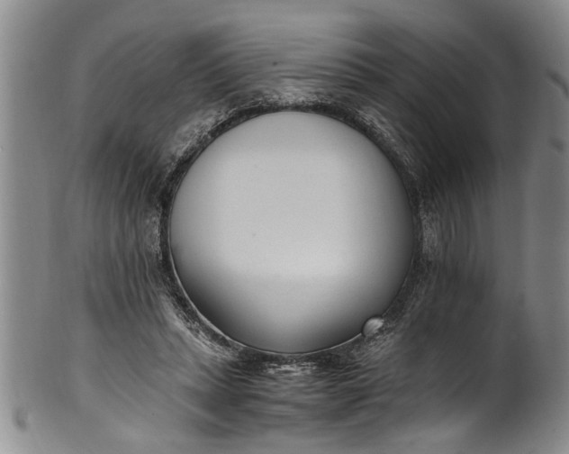 X0000102250447200808081414