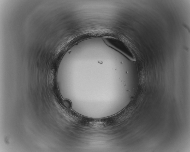 X0000102250448200808081414