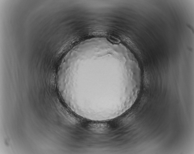 X0000102250449200808081414