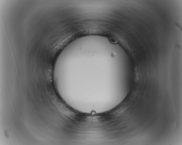 X0000102250450200808081414