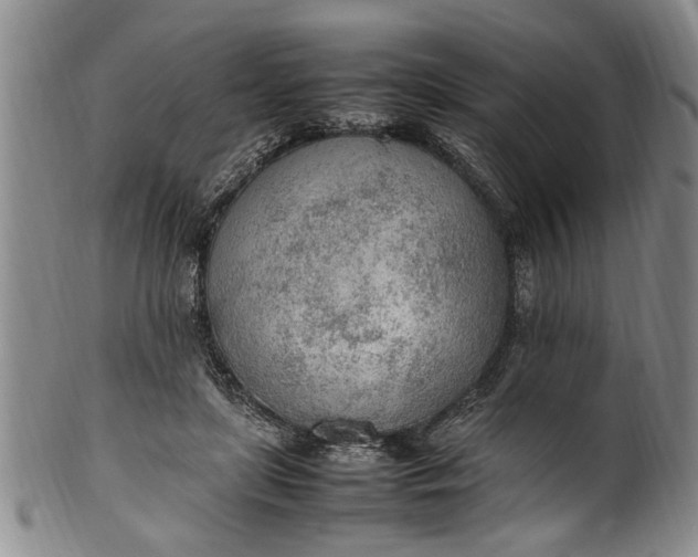 X0000102250451200808081414