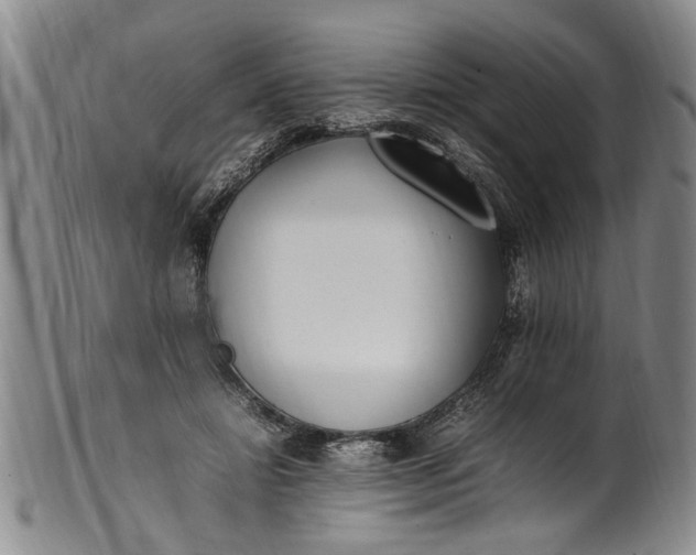 X0000102250452200808081414