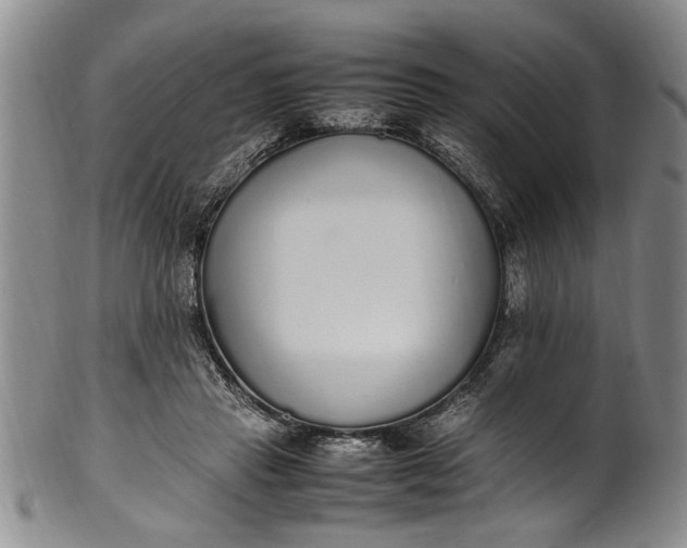 X0000102250453200808081414