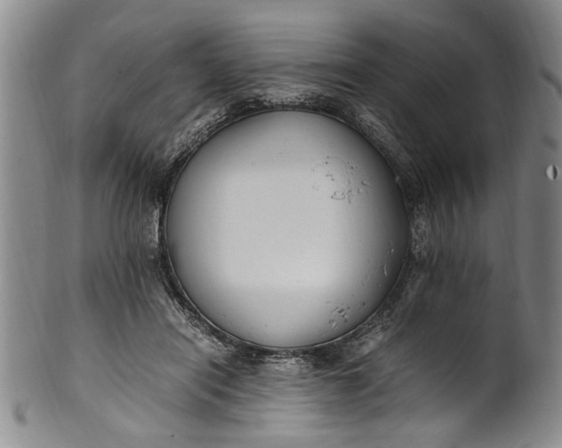 X0000102250454200808081414