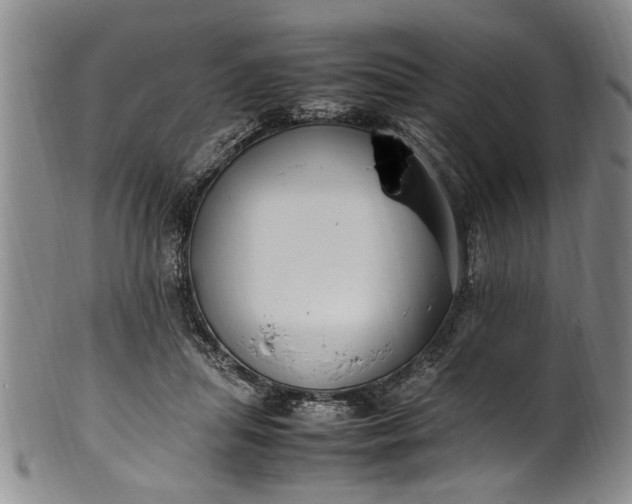 X0000102250455200808081414