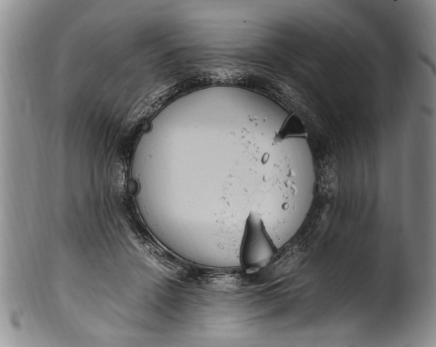 X0000102250456200808081414