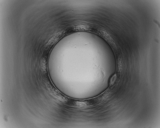 X0000102250457200808081414