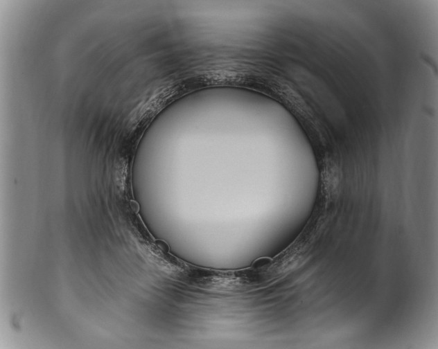 X0000102250458200808081414